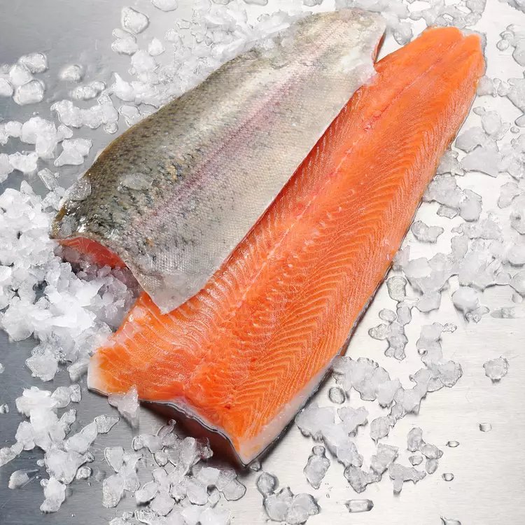 Cold-Water Rainbow Trout